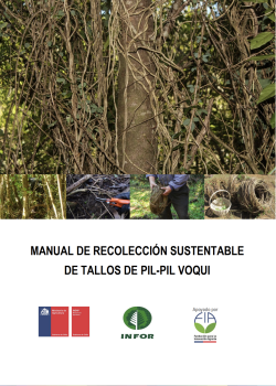 Manual de recolección sustentable de Tallos de Pil-Pil Voqui
