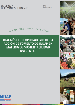 Diagnóstico exploratorio de la acción de fomento de INDAP en materia de sustentabilidad ambiental