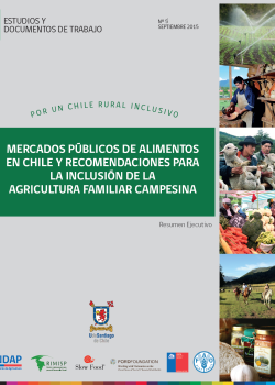 Mercados públicos de alimentos en Chile y recomendaciones para la inclusión de la AFC (Resumen ejecutivo)